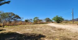 Fazenda 120 Alqueires – Pecuária/Agricultura – 2,5km de Teresina de Goiás – Chapada dos Veadeiros