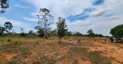 Fazenda 120 Alqueires – Pecuária/Agricultura – 2,5km de Teresina de Goiás – Chapada dos Veadeiros