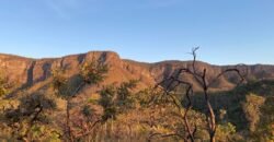 Chácara 4.3 ha – Vista Cênica – Pé de Serra – – Fazenda Santa Rita – 12 km de Alto Paraíso – Infraestrutura
