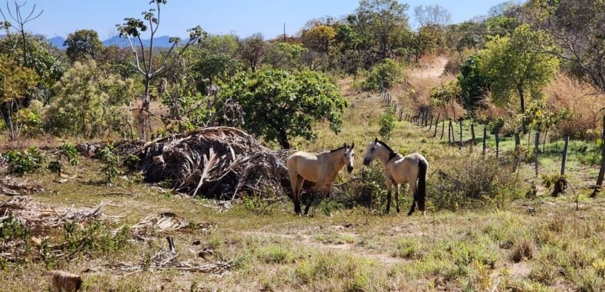 Fazenda 120 Alqueires – Pecuária/Agricultura – 2,5km de Teresina de Goiás – Chapada dos Veadeiros