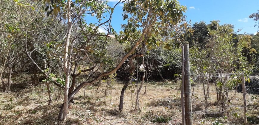 Lote 500.90 m2 – Rua Violeta – Eldorado 1 – Alto Paraíso de Goiás