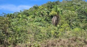 Propriedade 58ha – Água de nascente – 2 km de Centro de Alto Paraíso – Chapada dos Veadeiros