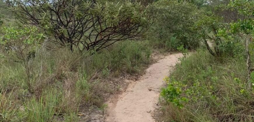 Chácara 4.9ha – Vale Verde – Sentido Pousada Inácia – Alto Paraíso de Goiás