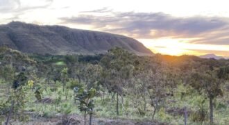 Chácara 4.9ha – Vale Verde – Sentido Pousada Inácia – Alto Paraíso de Goiás