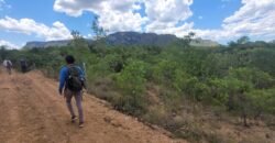 Propriedade de 1 a 3 Alqueires na Comunidade do Sertão – Chapada dos Veadeiros
