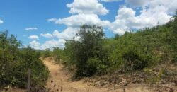 Propriedade de 1 a 3 Alqueires na Comunidade do Sertão – Chapada dos Veadeiros