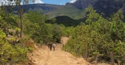 Propriedade de 1 a 3 Alqueires na Comunidade do Sertão – Chapada dos Veadeiros