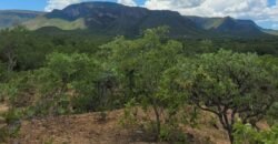 Propriedade de 1 a 3 Alqueires na Comunidade do Sertão – Chapada dos Veadeiros