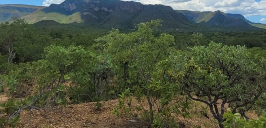 Propriedade de 1 a 3 Alqueires na Comunidade do Sertão – Chapada dos Veadeiros