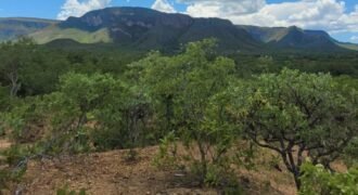 Propriedade de 1 a 3 Alqueires na Comunidade do Sertão – Chapada dos Veadeiros