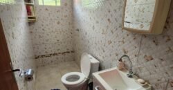 3 Casas Individualizadas em Lote de Esquina – Alto Paraíso – Chapada dos Veadeiros