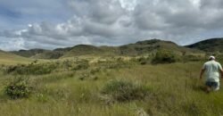 Chácara 4ha – Paraíso dos Pandavas, Corrégo – Alto Paraíso de Goiás