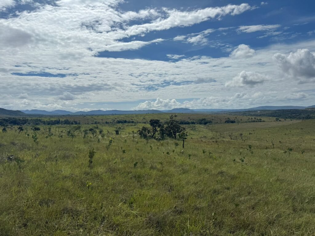 Chácara 4ha – Paraíso dos Pandavas, Corrégo – Alto Paraíso de Goiás