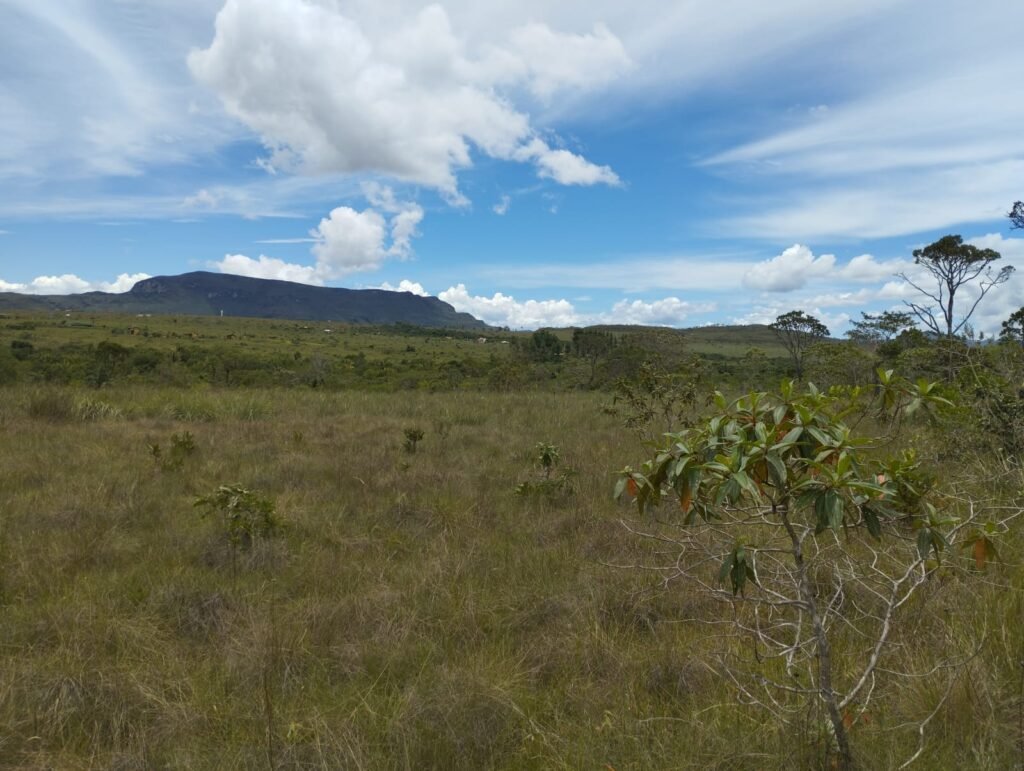 Chácara 4ha – Km 12 – Córrego – Alto Paraíso – Chapada dos Veadeiros
