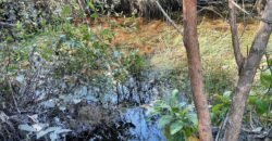 Chácara 4ha – Paraíso dos Pandavas, Corrégo – Alto Paraíso de Goiás