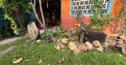 🌿 Pousada Sustentável em São Jorge II – Alto Paraíso – Chapada dos Veadeiros