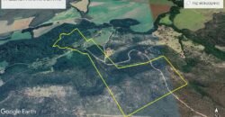 Espetacular Oportunidade! Fazenda de 50 Hectares à Beira do Rio Tocantinzinho – Chapada dos Veadeiros