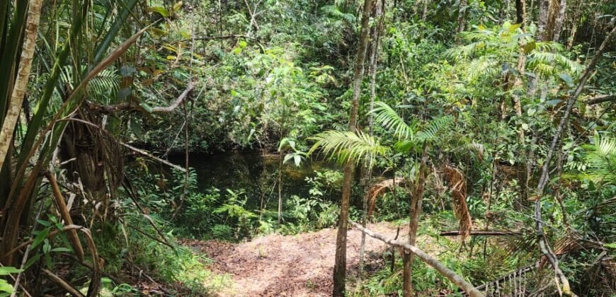 🌿 **Oportunidade Única na Chapada dos Veadeiros, com Cachoeira, 12 km de Alto Paraíso!