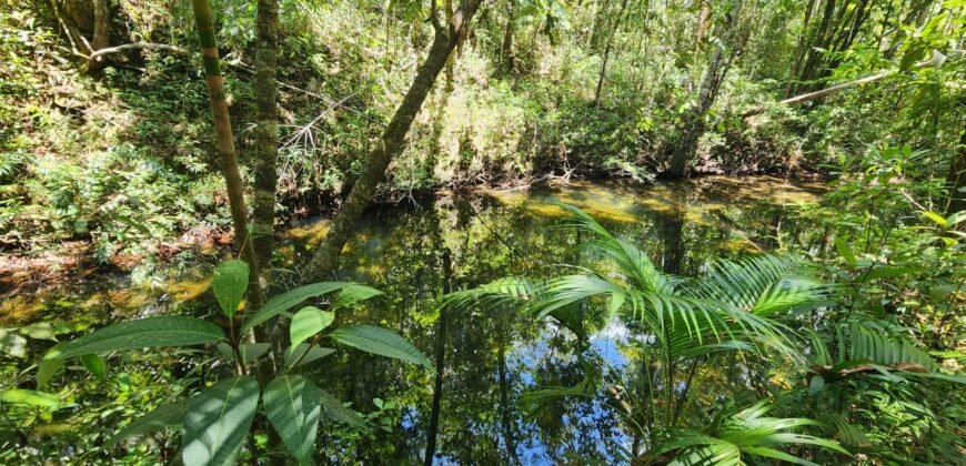 🌿 **Oportunidade Única na Chapada dos Veadeiros, com Cachoeira, 12 km de Alto Paraíso!
