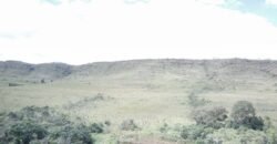 Oportunidade Imperdível! Fazenda 240ha com Nascente e Vista Cênica na Chapada dos Veadeiros 🌿