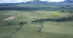 Oportunidade Imperdível! Fazenda 240ha com Nascente e Vista Cênica na Chapada dos Veadeiros 🌿