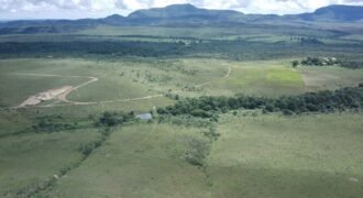 Oportunidade Imperdível! Fazenda 240ha com Nascente e Vista Cênica na Chapada dos Veadeiros 🌿