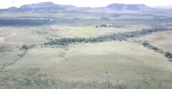Oportunidade Imperdível! Fazenda 240ha com Nascente e Vista Cênica na Chapada dos Veadeiros 🌿