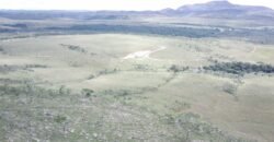 Oportunidade Imperdível! Fazenda 240ha com Nascente e Vista Cênica na Chapada dos Veadeiros 🌿