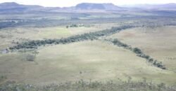 Oportunidade Imperdível! Fazenda 240ha com Nascente e Vista Cênica na Chapada dos Veadeiros 🌿
