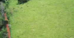 Espetacular Oportunidade! Fazenda de 50 Hectares à Beira do Rio Tocantinzinho – Chapada dos Veadeiros