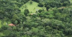 Espetacular Oportunidade! Fazenda de 50 Hectares à Beira do Rio Tocantinzinho – Chapada dos Veadeiros