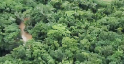 Espetacular Oportunidade! Fazenda de 50 Hectares à Beira do Rio Tocantinzinho – Chapada dos Veadeiros