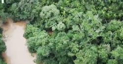 Espetacular Oportunidade! Fazenda de 50 Hectares à Beira do Rio Tocantinzinho – Chapada dos Veadeiros