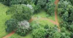 Espetacular Oportunidade! Fazenda de 50 Hectares à Beira do Rio Tocantinzinho – Chapada dos Veadeiros