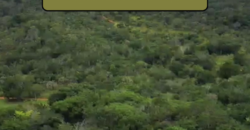 Espetacular Oportunidade! Fazenda de 50 Hectares à Beira do Rio Tocantinzinho – Chapada dos Veadeiros