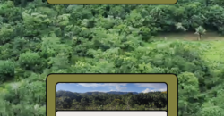 Espetacular Oportunidade! Fazenda de 50 Hectares à Beira do Rio Tocantinzinho – Chapada dos Veadeiros