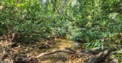🌿 **Oportunidade Única na Chapada dos Veadeiros, com Cachoeira, 12 km de Alto Paraíso!