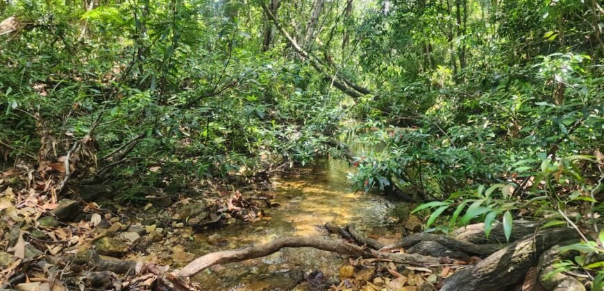 🌿 **Oportunidade Única na Chapada dos Veadeiros, com Cachoeira, 12 km de Alto Paraíso!