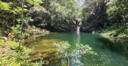 🌿 **Oportunidade Única na Chapada dos Veadeiros, com Cachoeira, 12 km de Alto Paraíso!