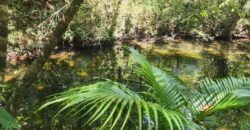 🌿 **Oportunidade Única na Chapada dos Veadeiros, com Cachoeira, 12 km de Alto Paraíso!