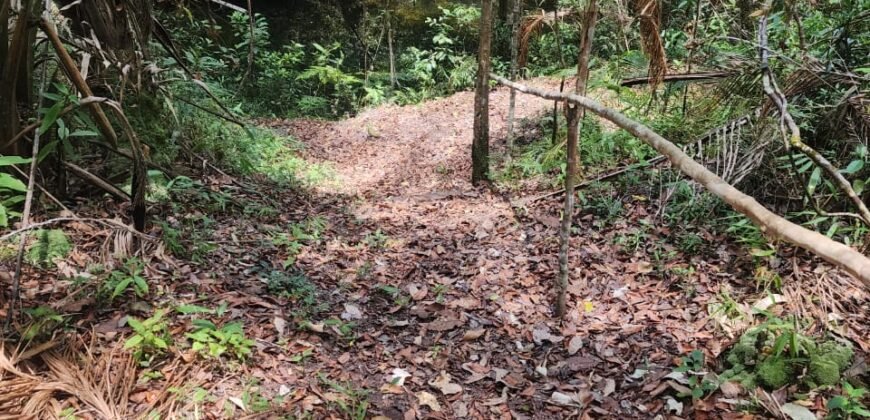 🌿 **Oportunidade Única na Chapada dos Veadeiros, com Cachoeira, 12 km de Alto Paraíso!