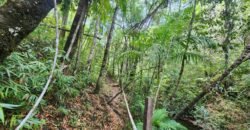 🌿 **Oportunidade Única na Chapada dos Veadeiros, com Cachoeira, 12 km de Alto Paraíso!