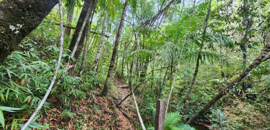 🌿 **Oportunidade Única na Chapada dos Veadeiros, com Cachoeira, 12 km de Alto Paraíso!