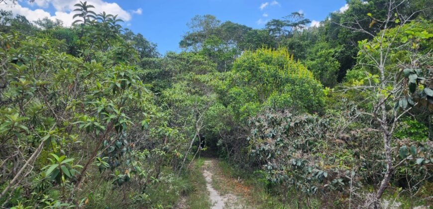 🌿 **Oportunidade Única na Chapada dos Veadeiros, com Cachoeira, 12 km de Alto Paraíso!