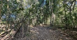 Chácara 8ha – Benfetirória na região do Vale Verde – Alto Paraíso – Chapada dos Veadeiros