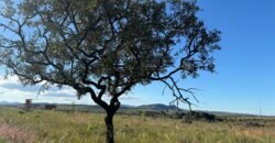 Chácara 8ha – Benfetirória na região do Vale Verde – Alto Paraíso – Chapada dos Veadeiros
