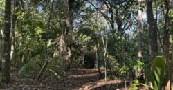 Chácara 8ha – Benfetirória na região do Vale Verde – Alto Paraíso – Chapada dos Veadeiros