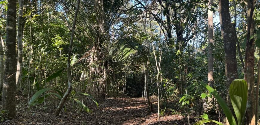 Chácara 8ha – Benfetirória na região do Vale Verde – Alto Paraíso – Chapada dos Veadeiros