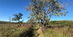 Chácara 8ha – Benfetirória na região do Vale Verde – Alto Paraíso – Chapada dos Veadeiros