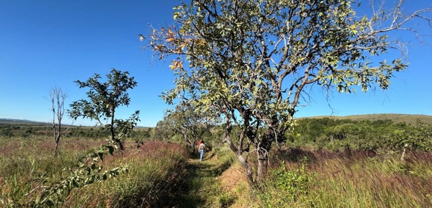 Chácara 8ha – Benfetirória na região do Vale Verde – Alto Paraíso – Chapada dos Veadeiros
